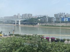 -李子坝梁山鸡(李子坝大鸡哥店)