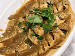 家焖黄花鱼-老苏扬饭店