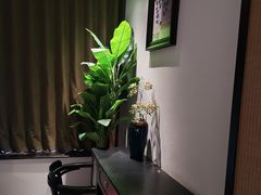 -万泊酒店(长沙五一广场国金中心店)