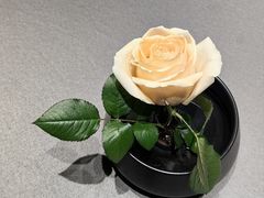 -小厨娘淮扬菜(河西奥美大厦店)