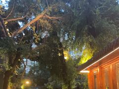 -大妙火锅·非物质文化遗产(东湖公园店)