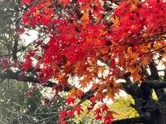-中国茶叶博物馆(双峰馆区)