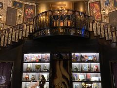 -雪灵魔法世界SHELLY’S TAROT(大良桂畔里店)