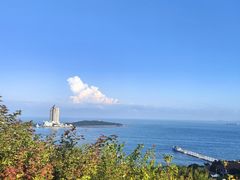 -海边的猫和咖啡馆