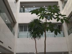 -上海交通大学医学院附属瑞金医院(总院)