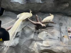 -Zoolung Zoolung动物主题公园(海信广场店)