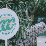 东莞探店丨咖啡鲜森 Coffee·C3丨绿色记忆的咖啡店