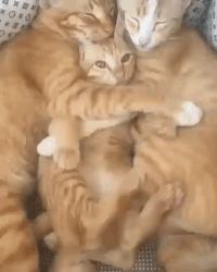 -UNI UNI(环亚凯瑟琳店)