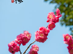 -静安雕塑公园