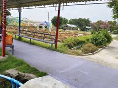 -广东花都香草世界旅游度假区