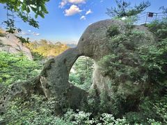 -六里坪国家森林公园