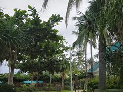 -三亚亚龙湾天域度假酒店