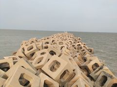 -东疆建设开发纪念公园
