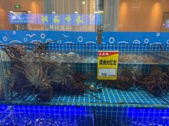 -大东海海鲜酒楼(渔人码头总店)