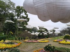 -南山植物园