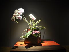 -春水堂人文茶馆