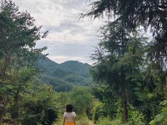 -秦岭风景区