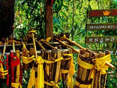 -西双版纳基诺山寨