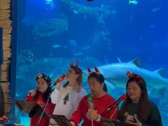 -暹罗海洋世界