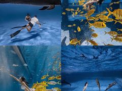 -三亚亚龙湾天域度假酒店