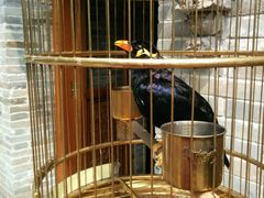 android_upload_pic-那家小馆•北京菜•烤鸭(中关村店)