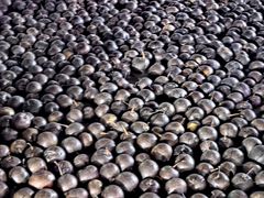 -东北大厦酒店(沈阳北站青年大街店)