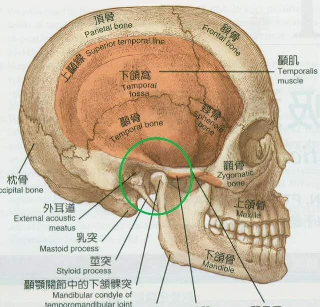 主要是指涉及与颞下颌关节相关的结构之间的解剖和功能异常所引发的