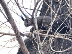 -长春公园(普阳街道)