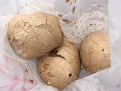 -金盆阿嬷香菇茶叶蛋(玄光店)
