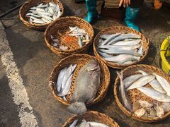 -恒兴发茶店(水巷口店)