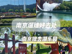 -南京银杏湖乐园