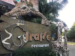 -清迈夜间动物园