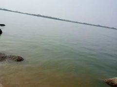 -瑶湖郊野森林公园
