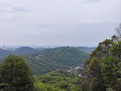 -桃花岭景区