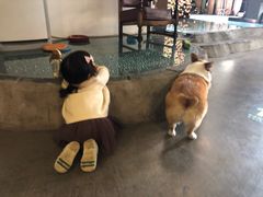 -百好乐宠物友好餐厅(朝外大街店)