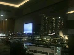 -新加坡文华东方酒店