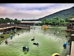 -无锡动物园·太湖欢乐园
