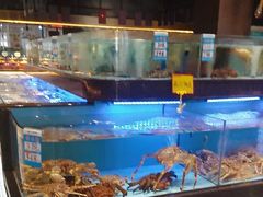 -阿伟海鲜楼·福建菜(延寿店)