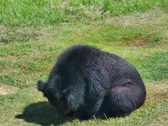 -海南热带野生动植物园