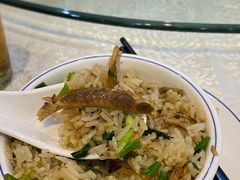 -阿四台山黄鳝饭(东门店)