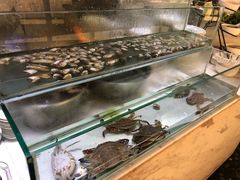 水产区-339旋转餐厅(天府熊猫塔店)