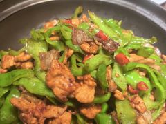 -纯肴大东北(新城北街店)