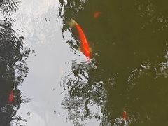 -莲池书院博物馆