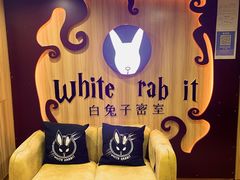 -白兔子密室(长寿路店)