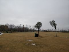 -上海长兴岛郊野公园