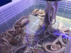 -澜悦港海鲜体验主题餐厅