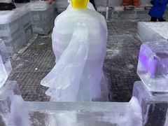 -南湖梦幻岛