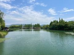 -尚湖风景区