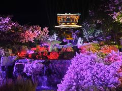 -茅山东方盐湖城景区