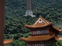 -深圳仙湖植物园